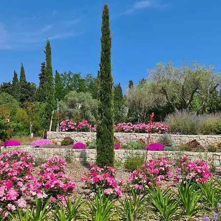 Casalionelantibes *
