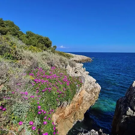 Casalionelantibes Large With Ac, King-size Bed, Garden And Parking Apartmán