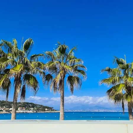 Casalionelantibes Large With Ac, King-size Bed, Garden And Parking Apartmán *