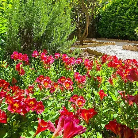 Apartmán Casalionelantibes Large With Ac, King-size Bed, Garden And Parking Antibes
