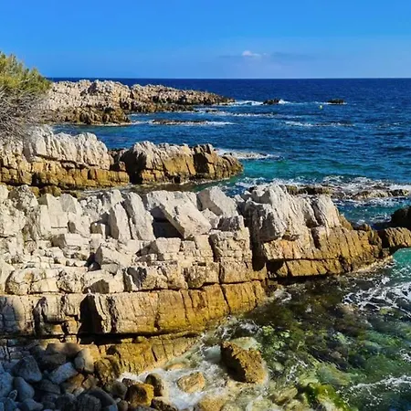 Casalionelantibes Large With Ac, King-size Bed, Garden And Parking Apartmán Antibes