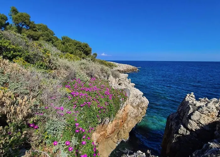 Casalionelantibes Apartamento